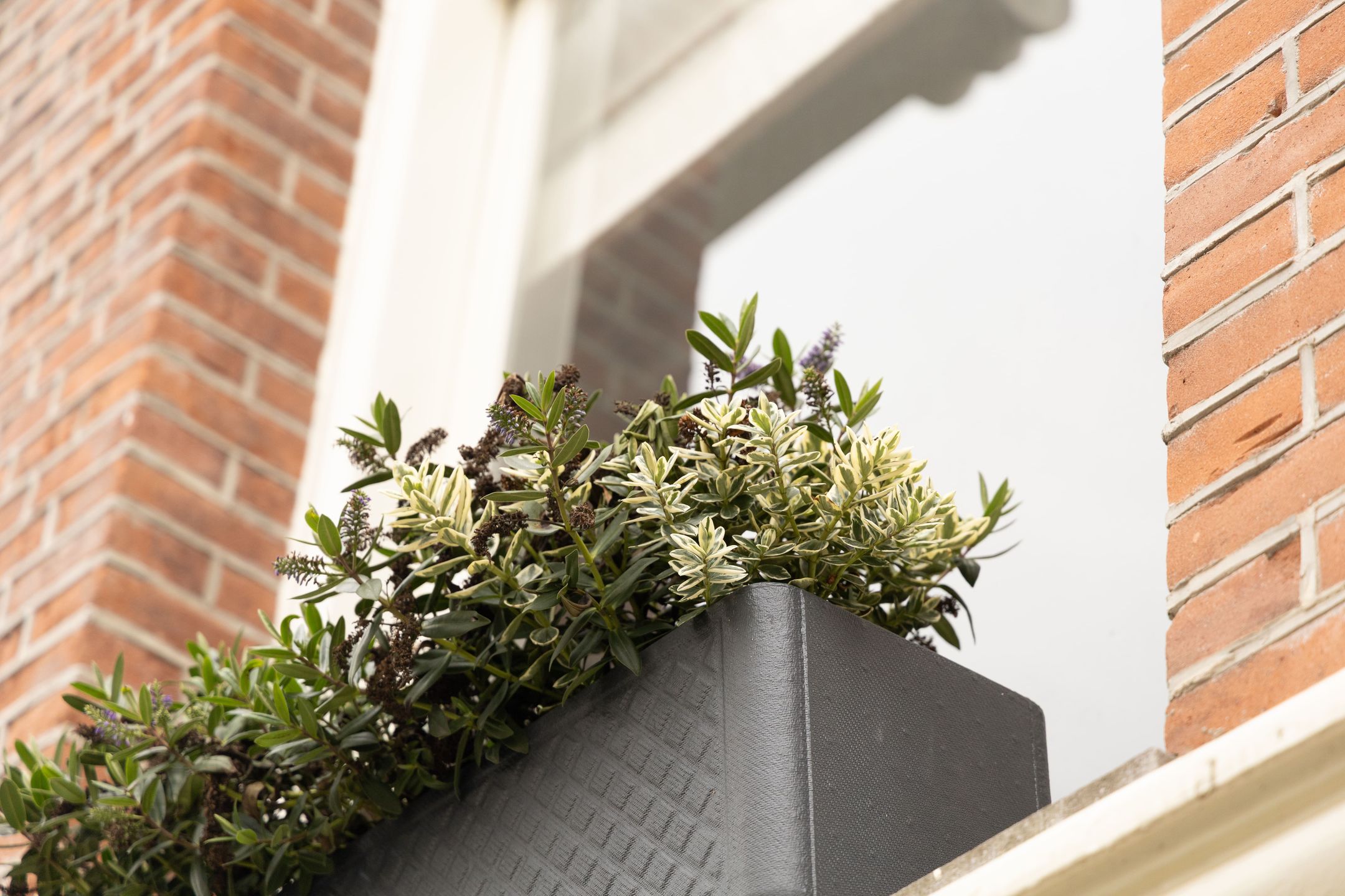 Photo 39 of Van Eeghenlaan 17-H