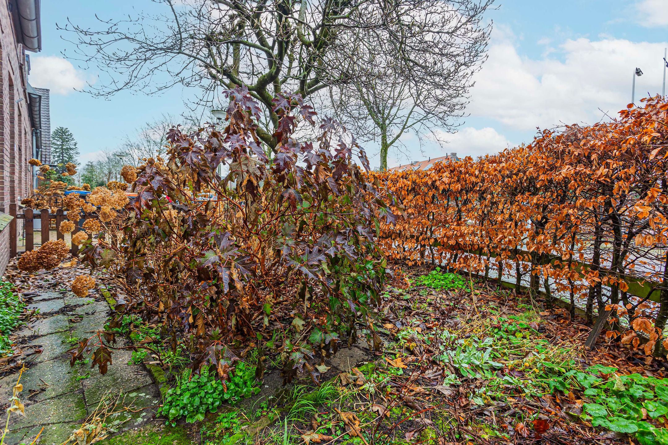 Photo 36 of Gerard Doustraat 27