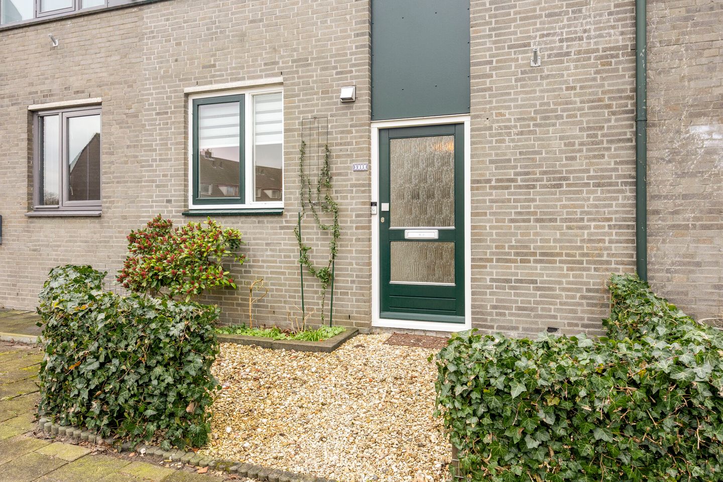 Foto 5 van Groenland 15