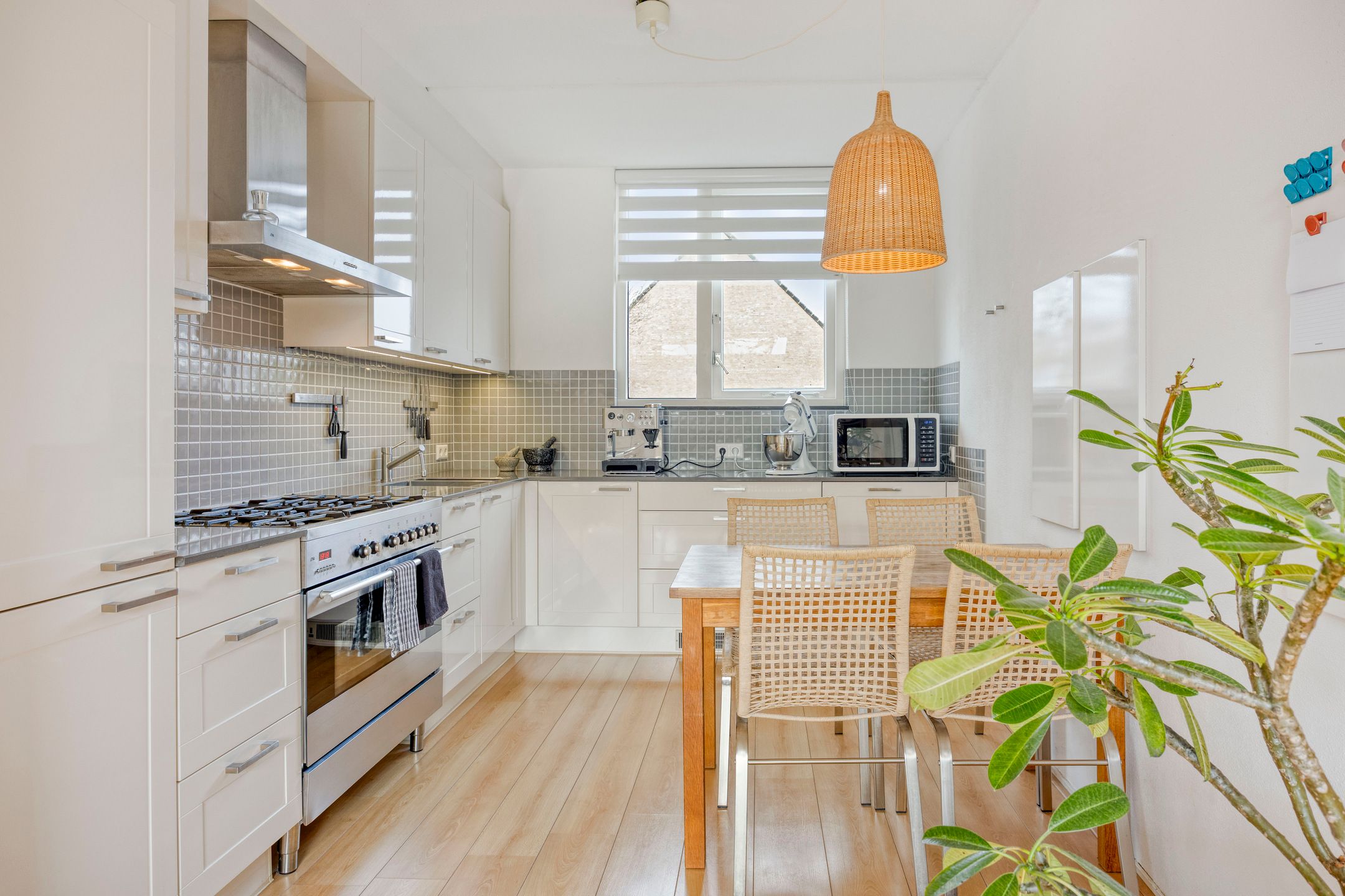 Foto 12 van Groenland 15