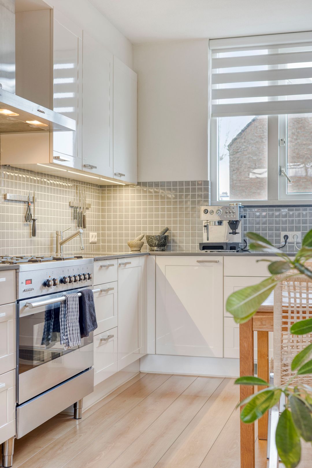 Foto 13 van Groenland 15