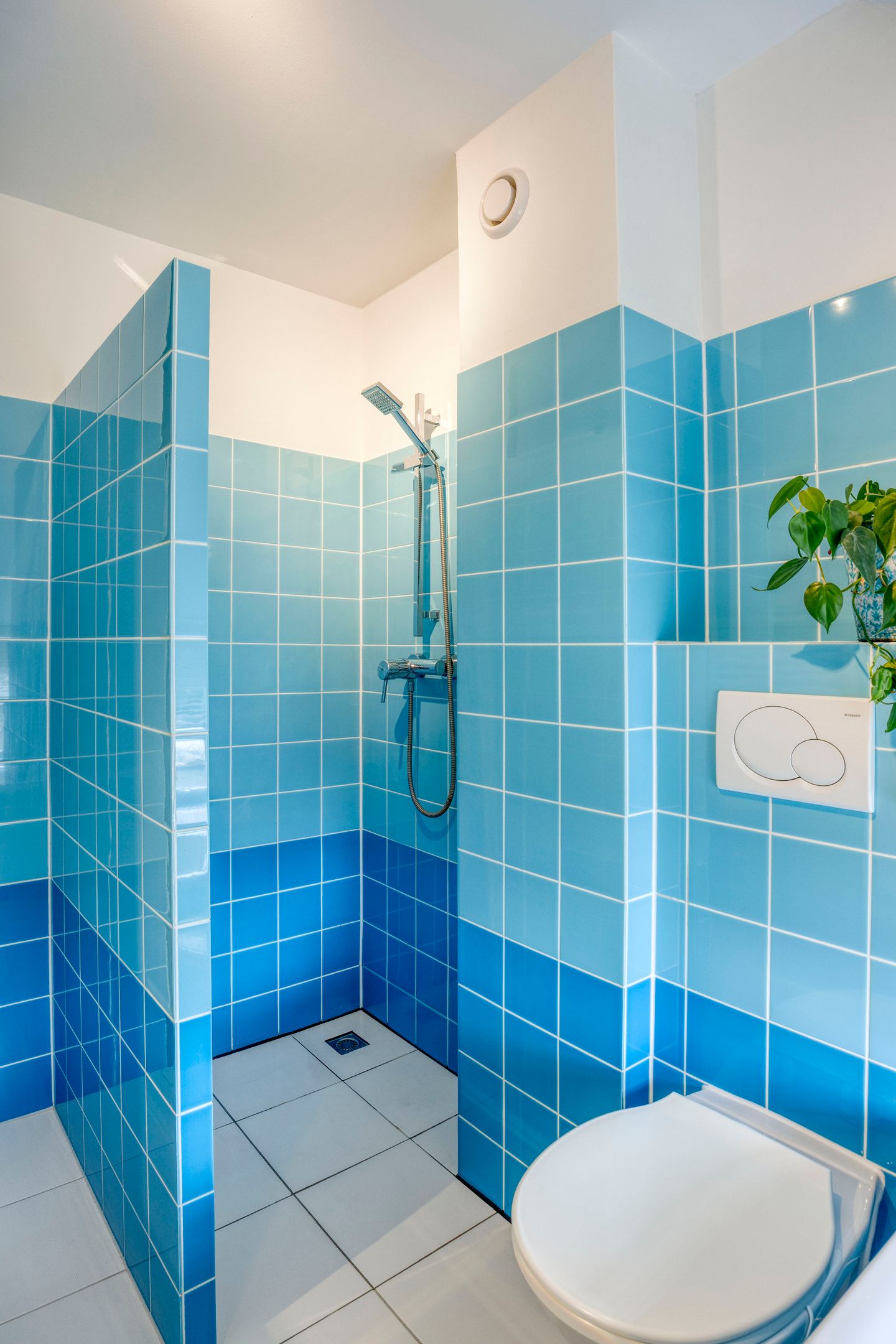 Foto 21 van Groenland 15