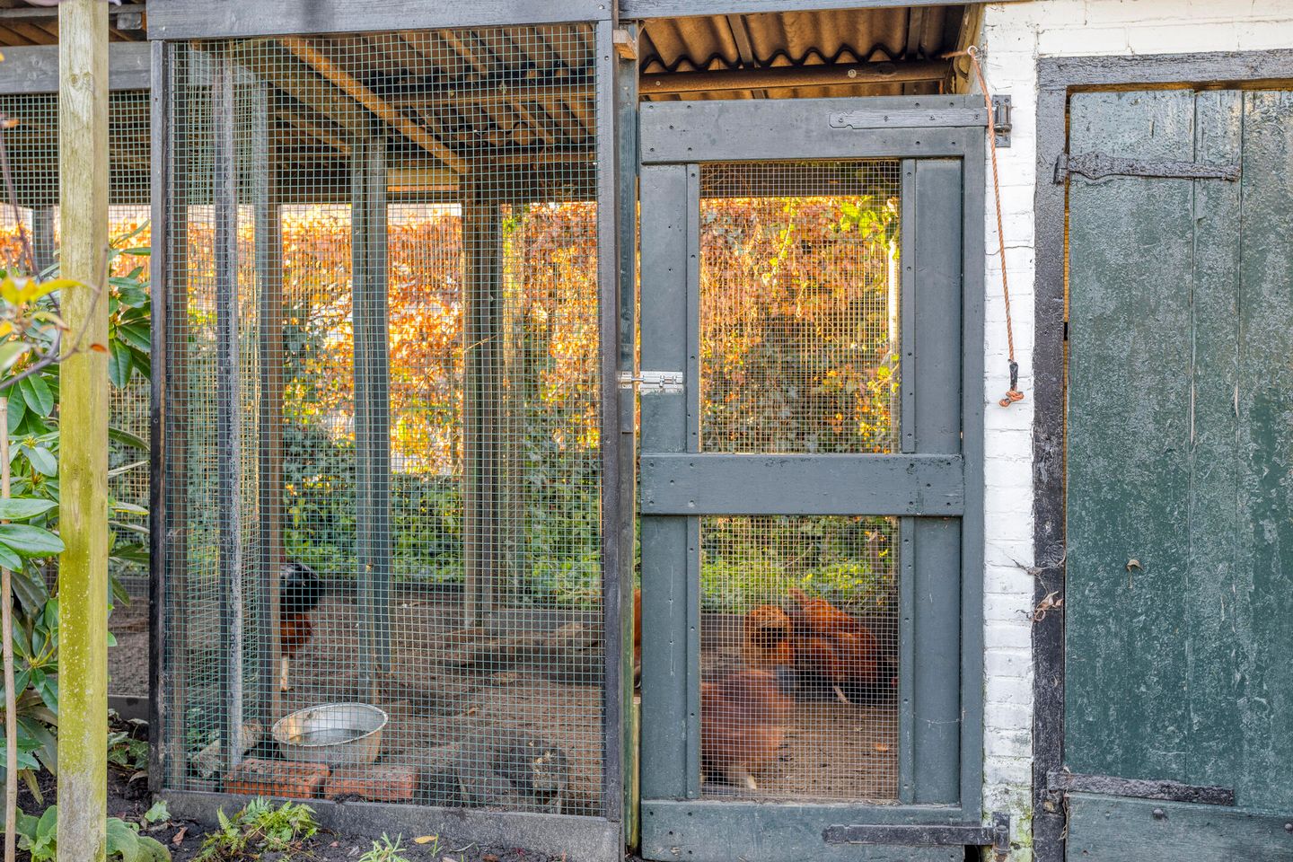 Foto 55 van J.P. Santeeweg 27