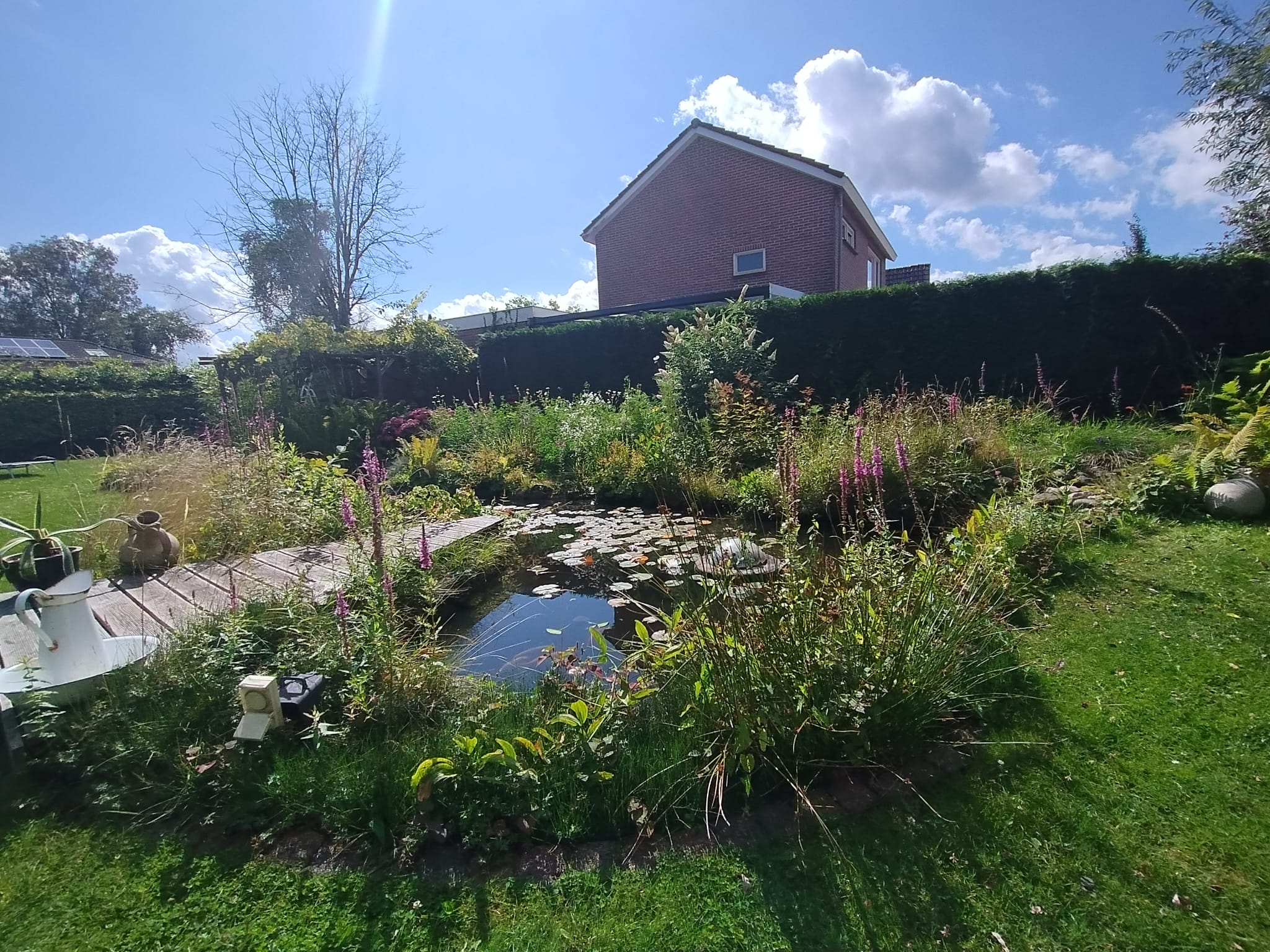 Foto 63 van J.P. Santeeweg 27