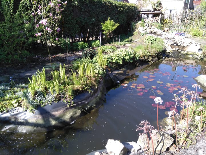 Foto 66 van J.P. Santeeweg 27