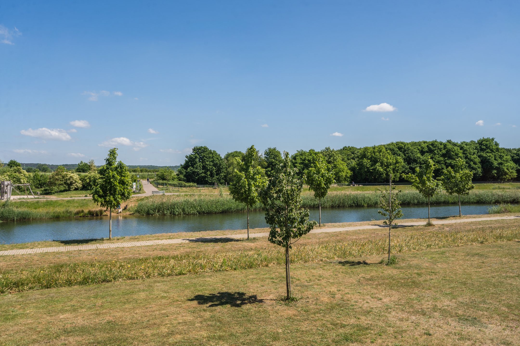 Photo 24 of Silenus 96