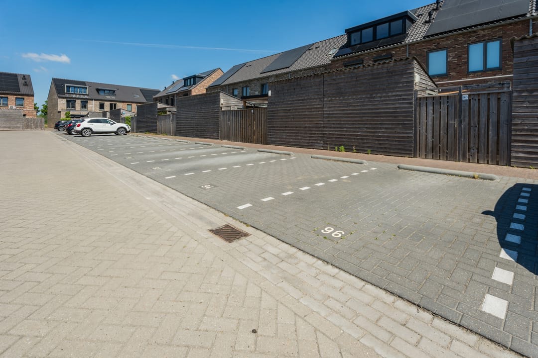 Photo 28 of Silenus 96