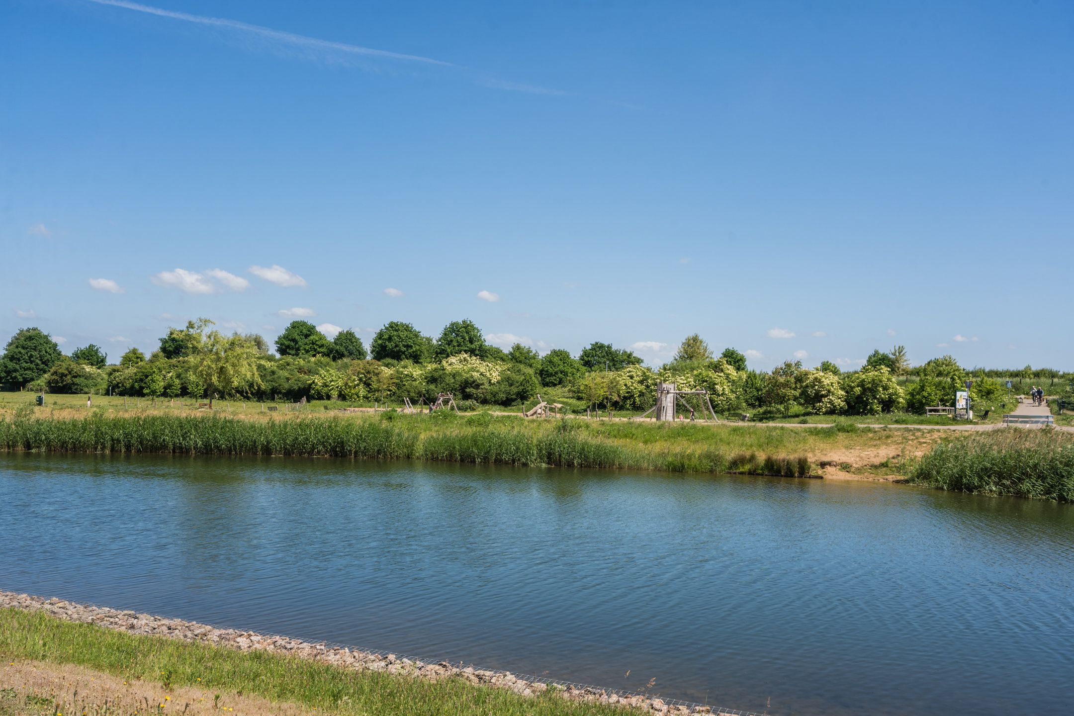 Photo 30 of Silenus 96