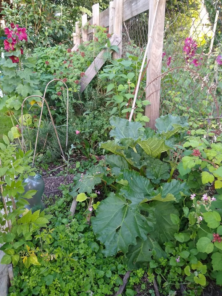 Photo 21 of Valentijnkade 119