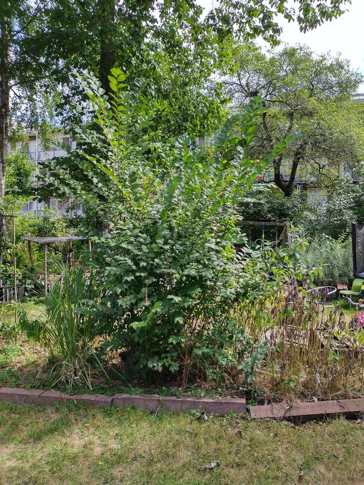 Photo 22 of Valentijnkade 119