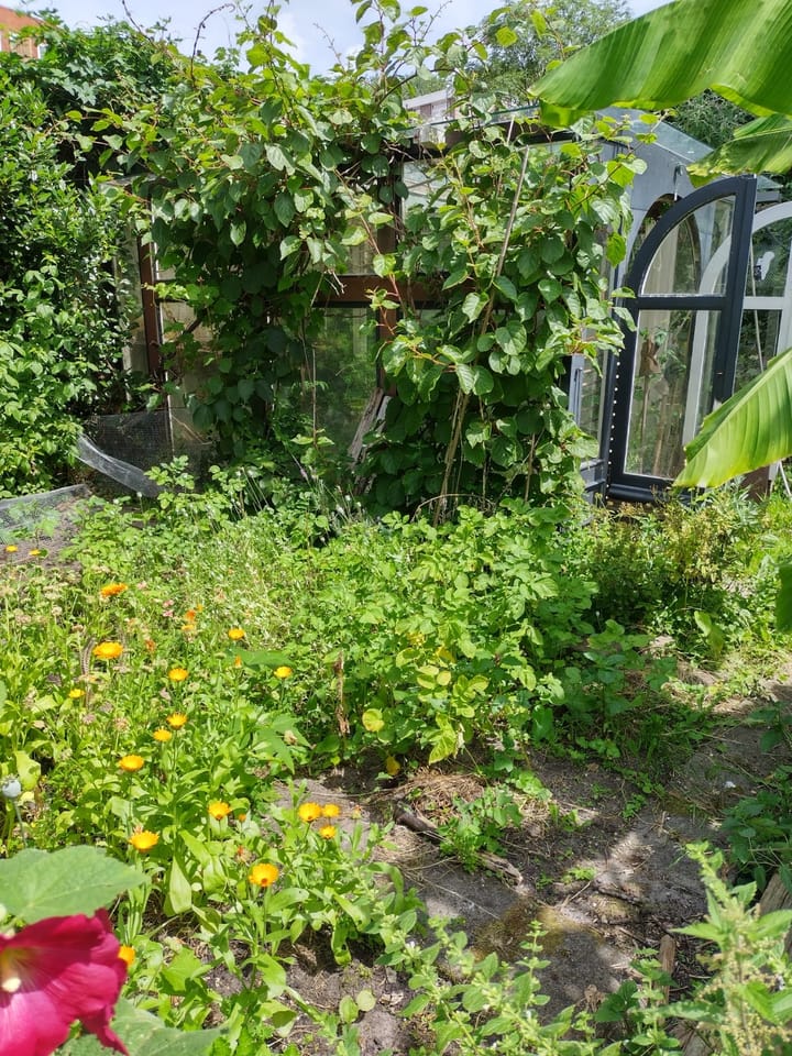 Photo 23 of Valentijnkade 119