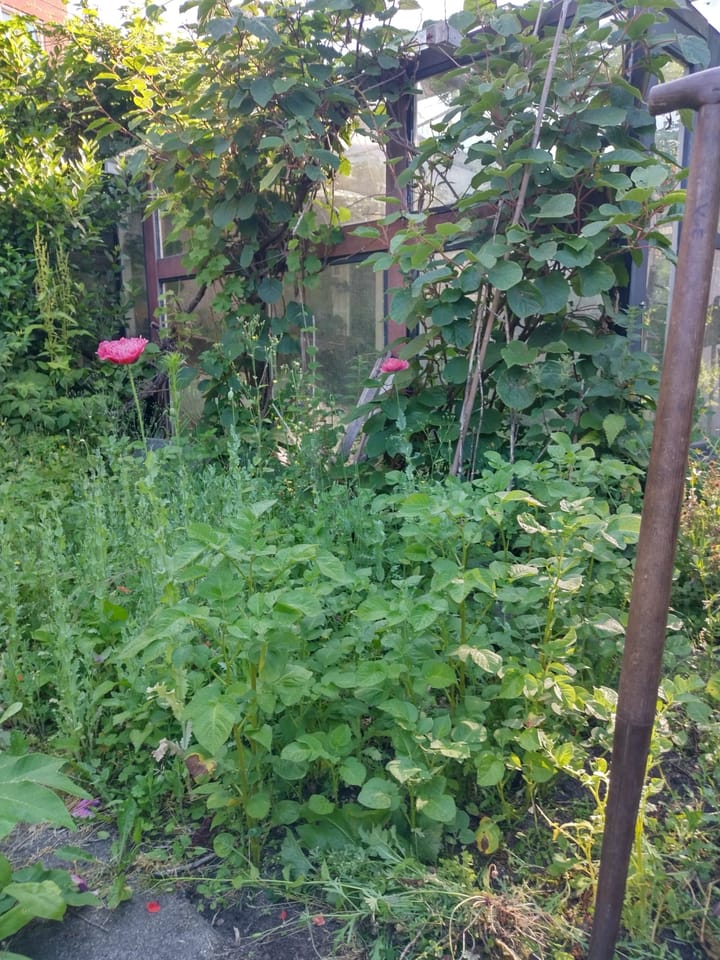 Photo 24 of Valentijnkade 119