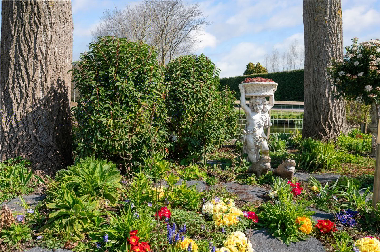 Foto 25 van Waterschapsweg 12