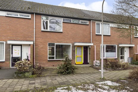 undefined main image