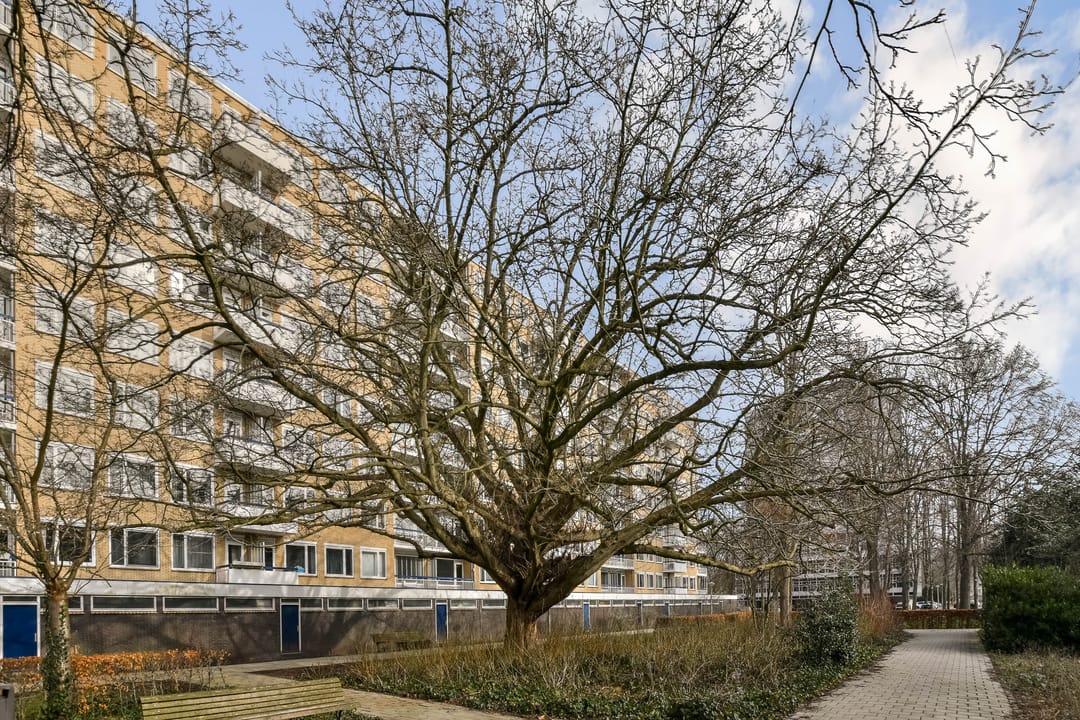 Foto 11 van Van Nijenrodeweg 89