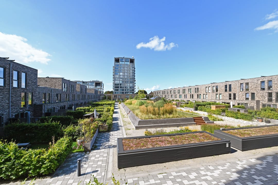 Foto 43 van Binckhorstlaan 315-F