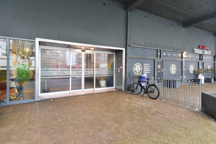 Foto 4 van Palaceplein 165