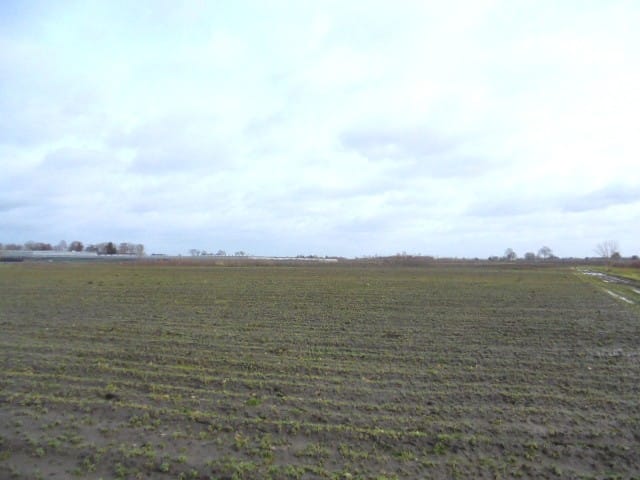 Bekijk foto 2 van Achtmaalseweg