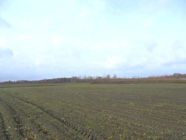 Bekijk foto 3 van Achtmaalseweg