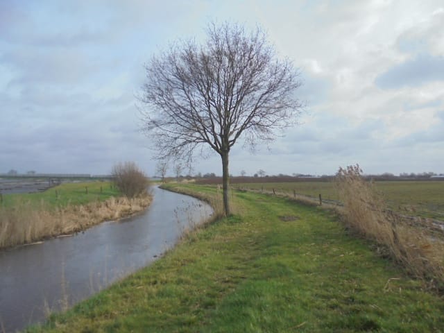 Bekijk foto 4 van Achtmaalseweg