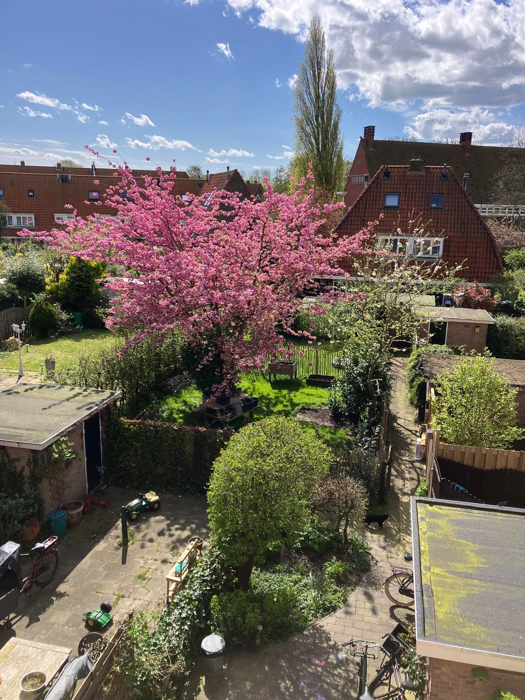 Photo 28 of Molengouw 40