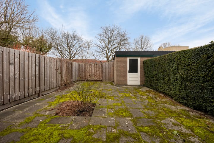 Foto 3 van Purperwier 7