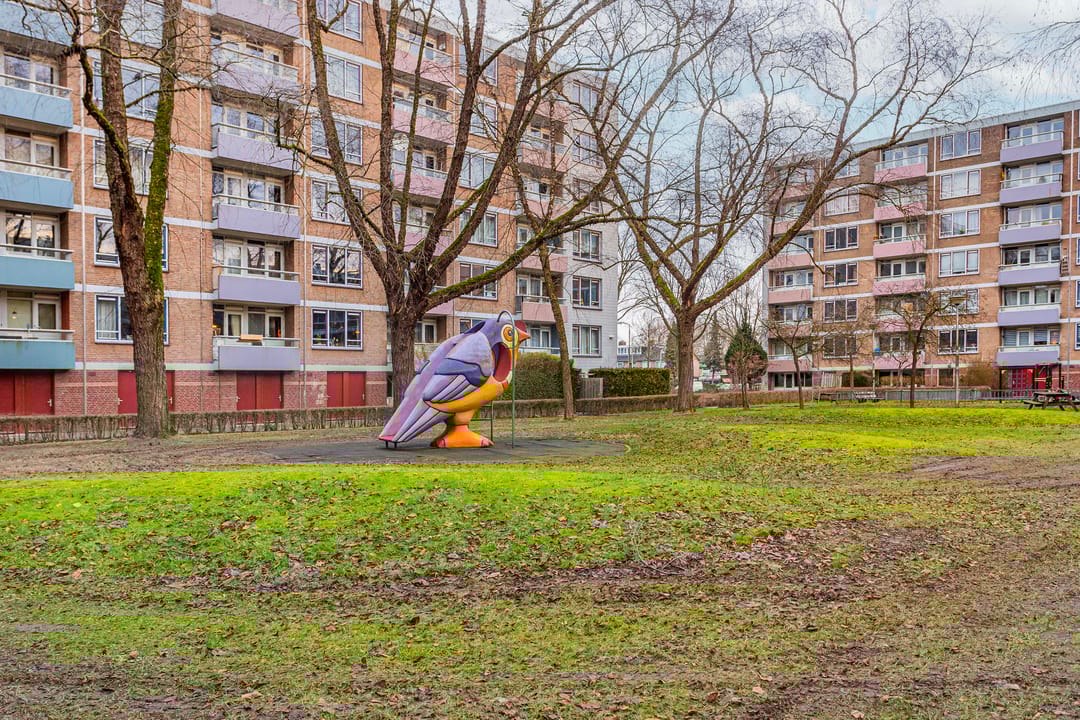 Foto 43 van Zangvogelweg 285