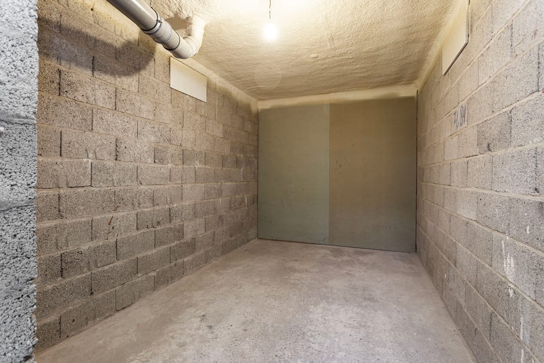 Photo 28 of Zangvogelweg 303