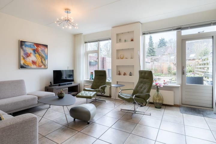 Foto 3 van Penningkruid 91