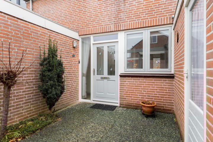 Foto 2 van Penningkruid 91