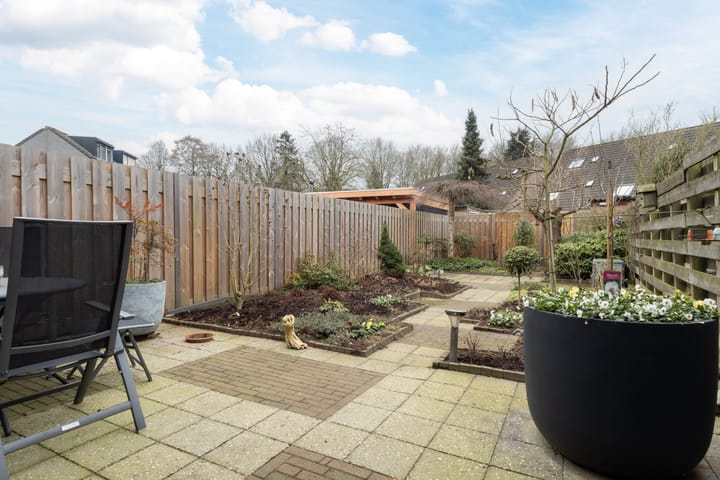 Foto 4 van Penningkruid 91