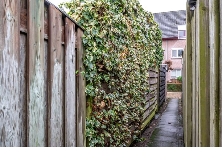 Foto 37 van Nieuwstadweg 10