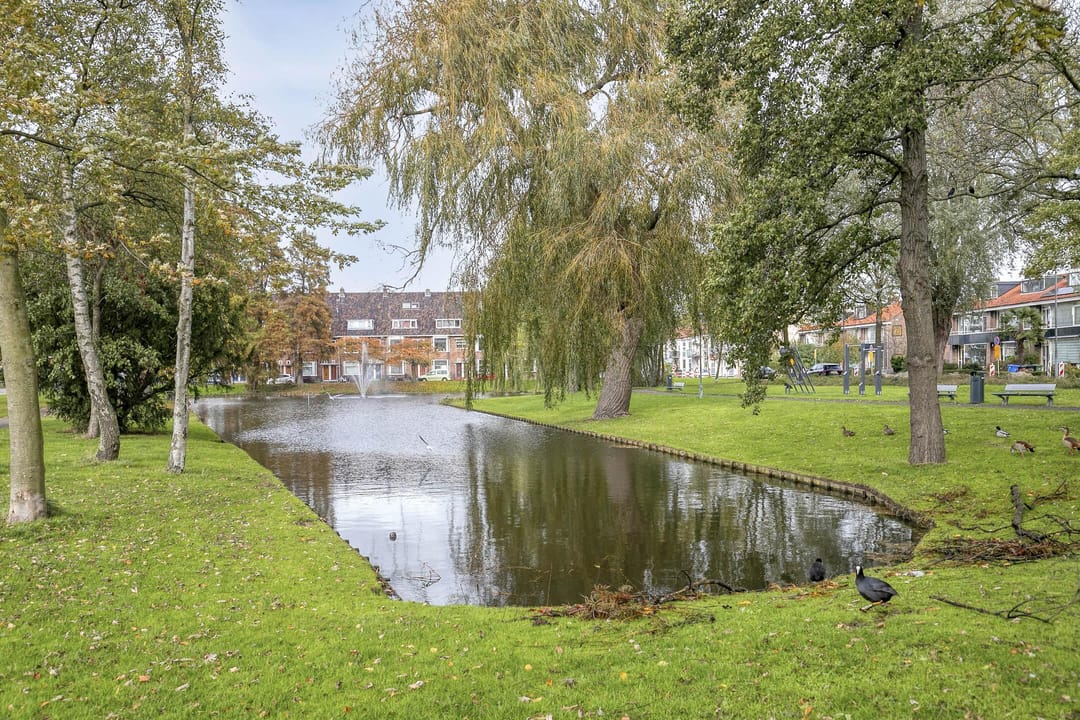 Foto 32 van Theodora Jacobalaan 43-B