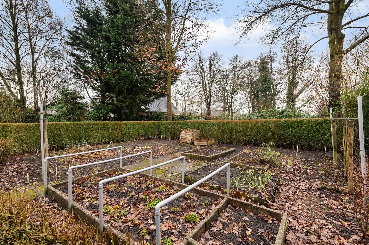 Foto 40 van Eikenlaan 54-H