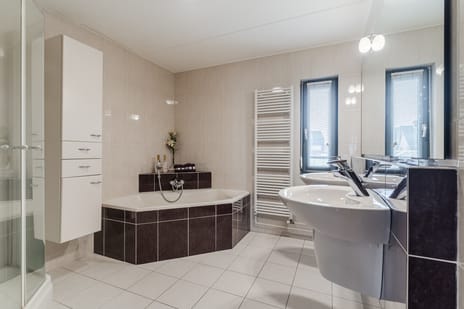 Morel 167 tertiary image