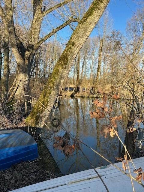 Foto 4 van Lingedijk 9