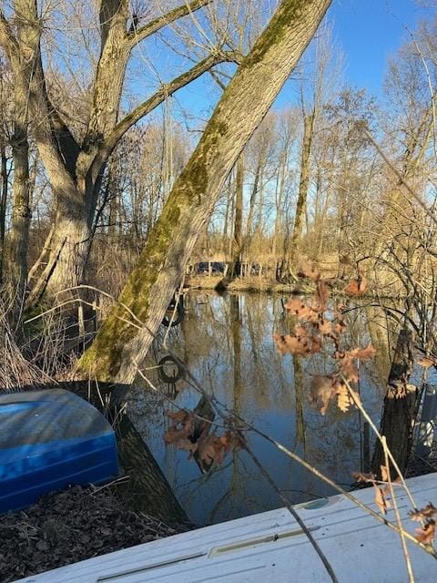 Foto 5 van Lingedijk 9