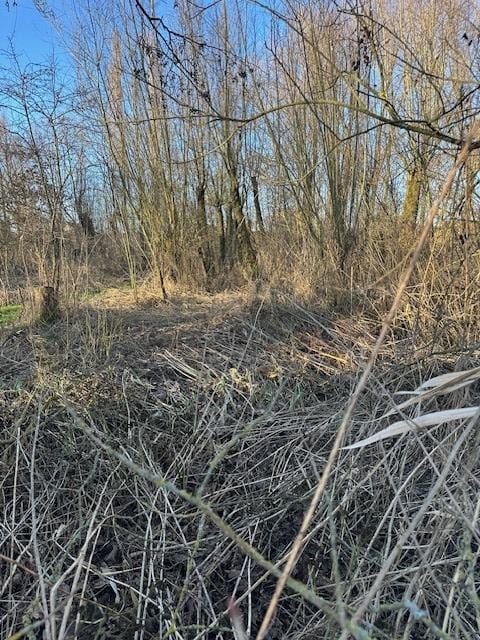 Foto 11 van Lingedijk 9