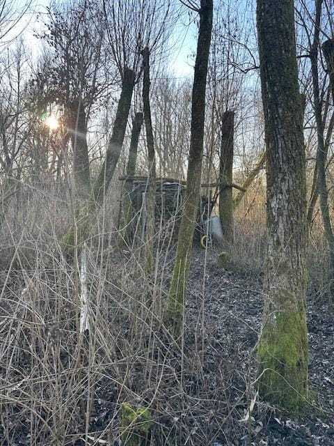 Foto 12 van Lingedijk 9