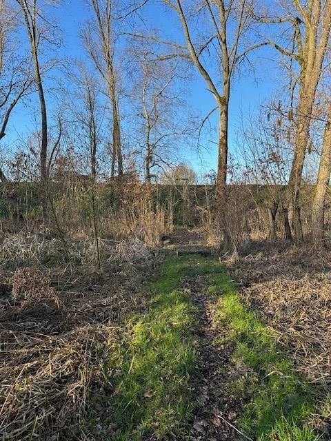 Foto 14 van Lingedijk 9