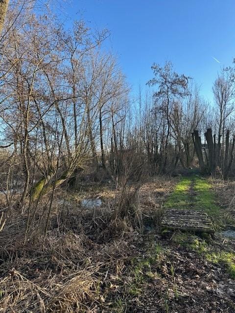 Foto 15 van Lingedijk 9