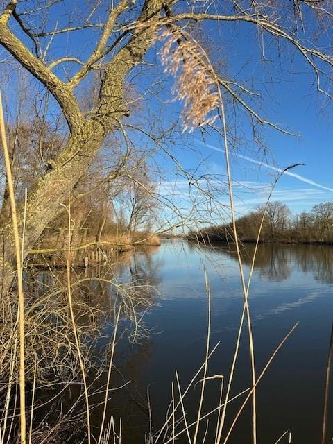 Foto 2 van Lingedijk 9