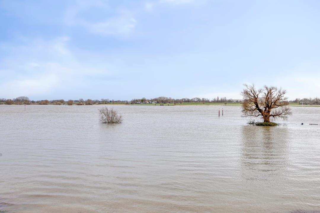 Photo 31 of Buitenhof 7