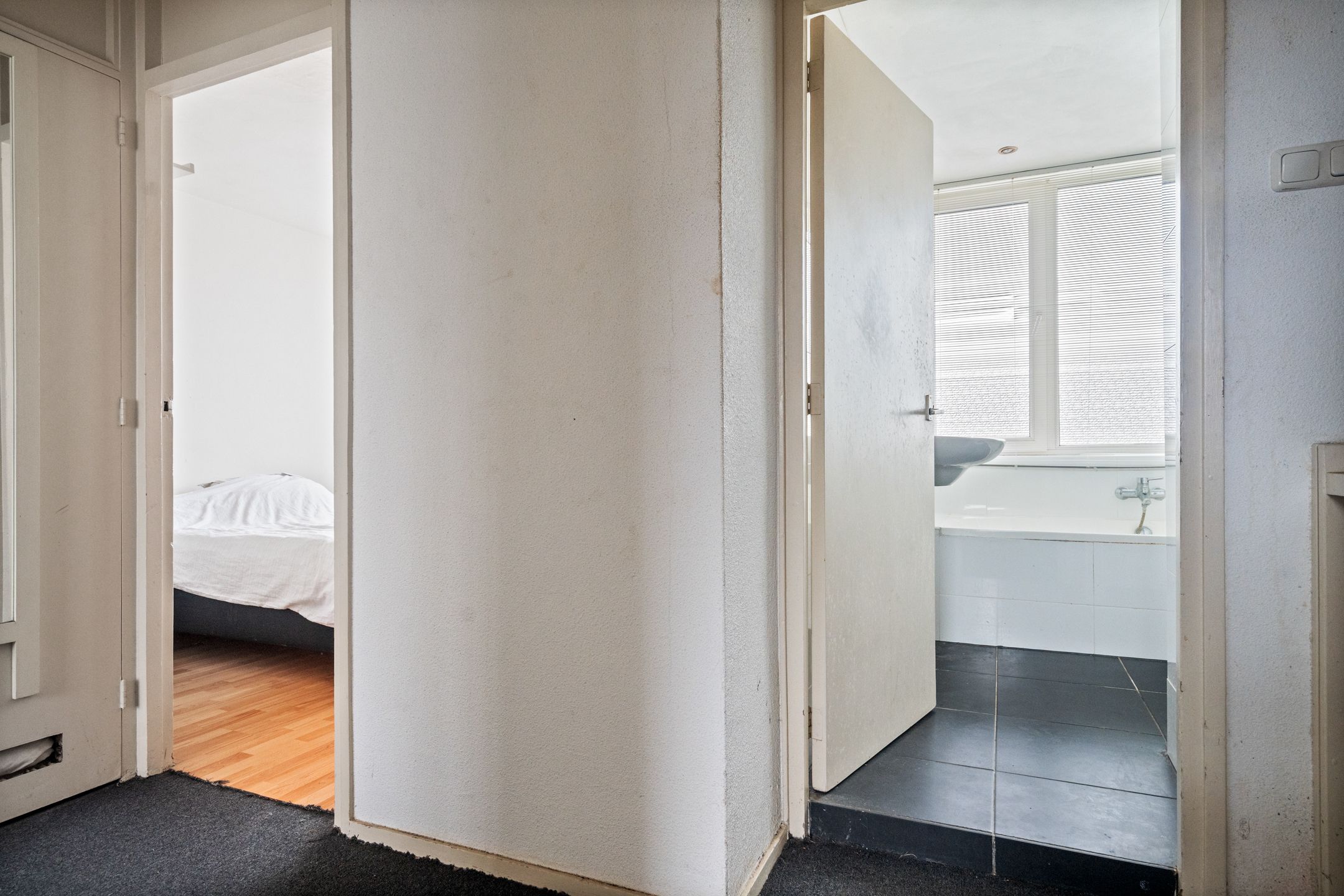 Foto 18 van Hazepad 11