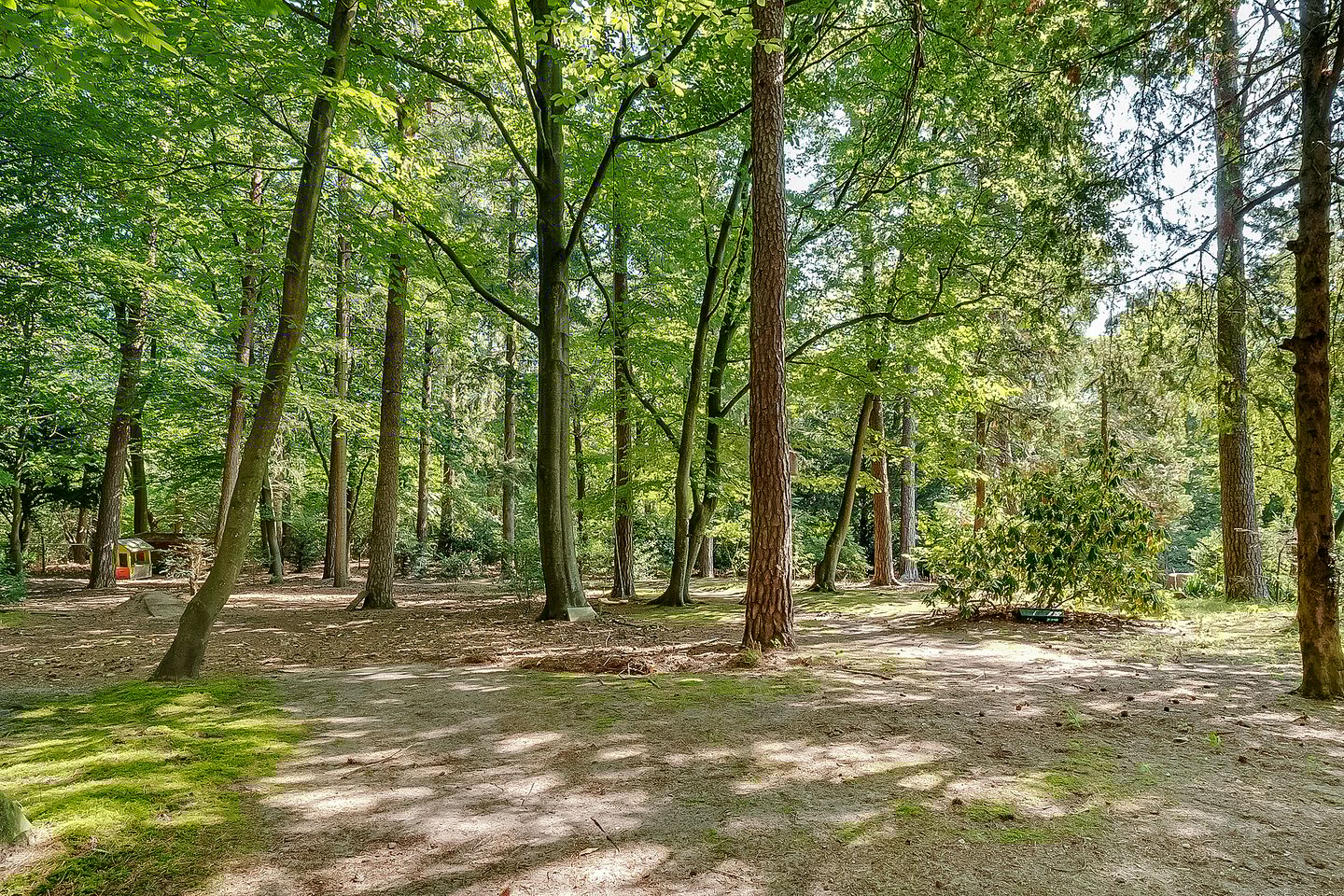 Foto 55 van Amersfoortseweg 5