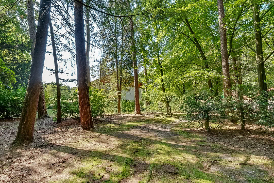 Foto 56 van Amersfoortseweg 5