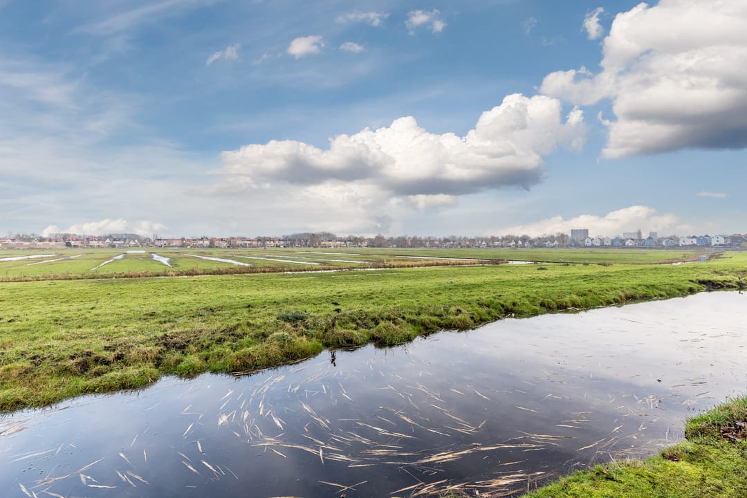 Foto 46 van Landsmeerderdijk 61