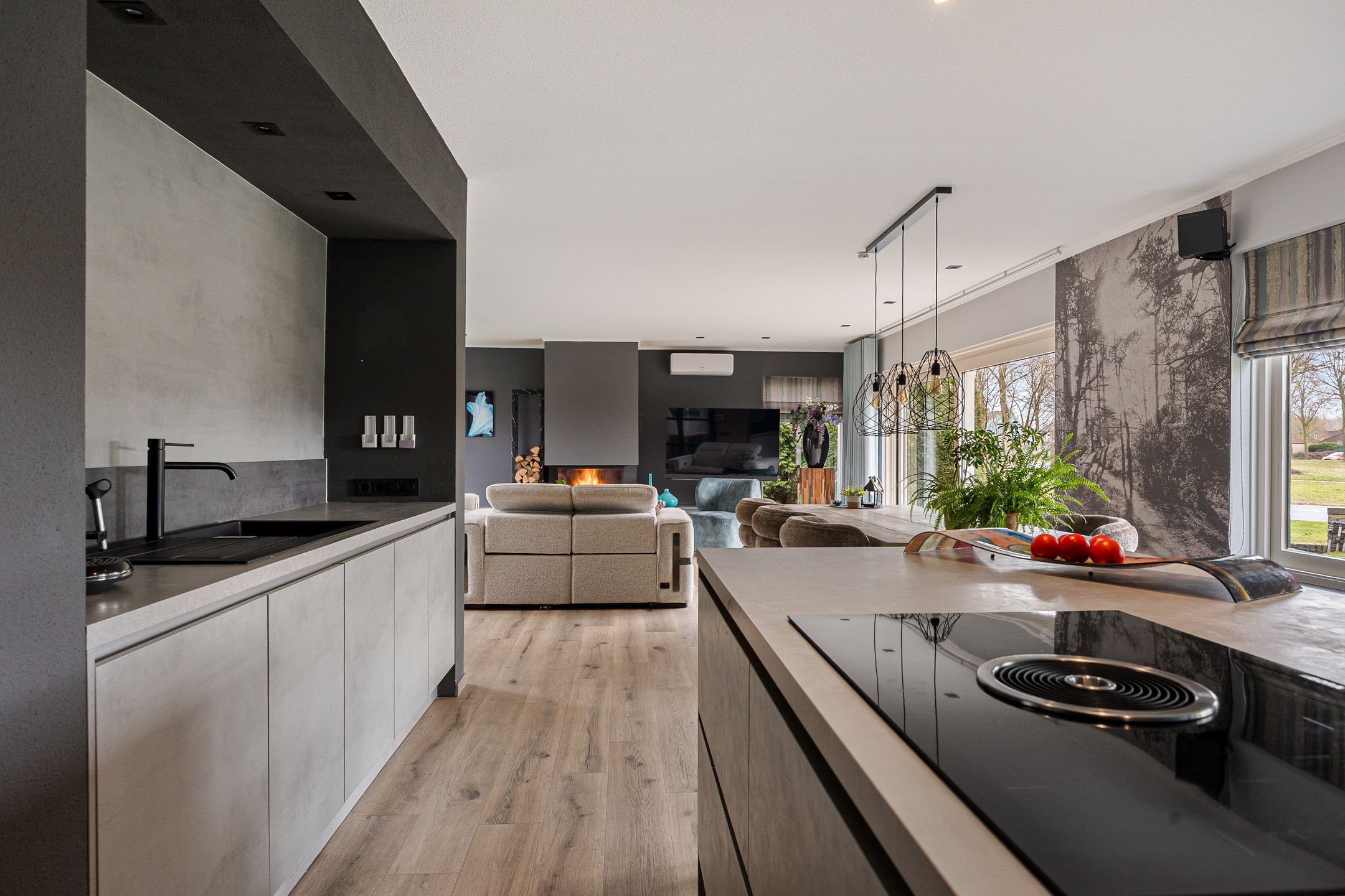 Foto 3 van Grijze Kraai 25