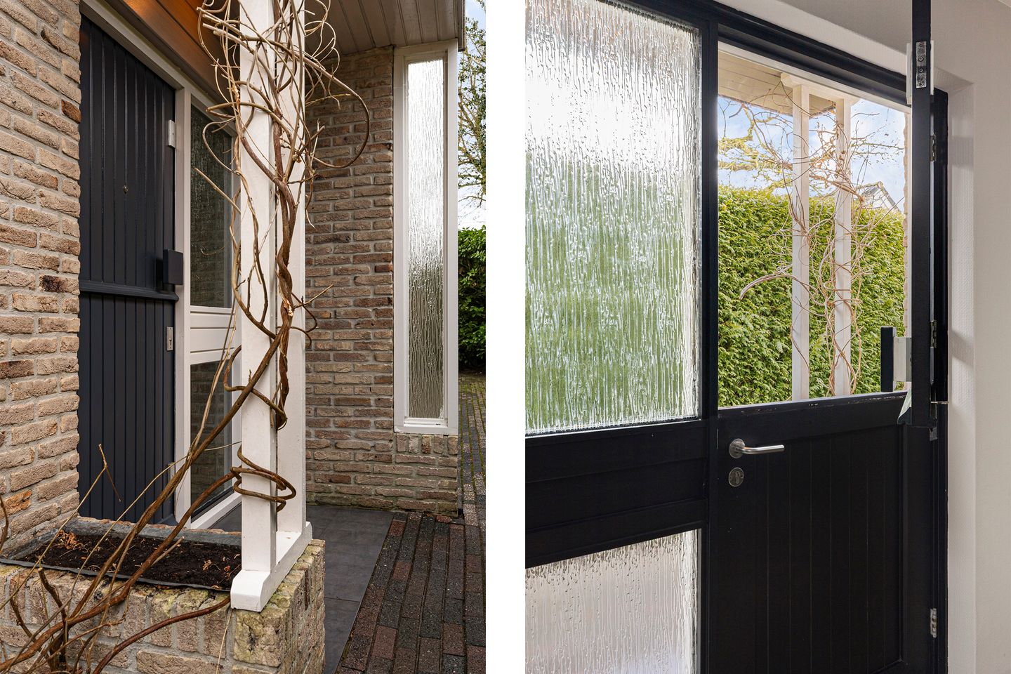 Foto 5 van Grijze Kraai 25