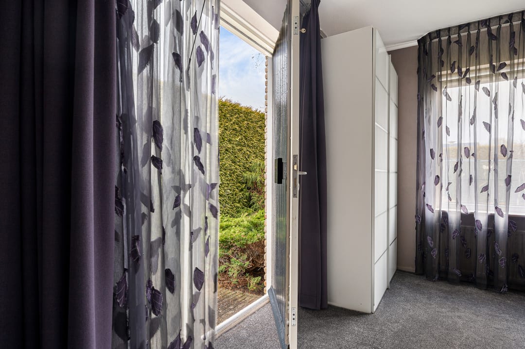 Foto 22 van Grijze Kraai 25